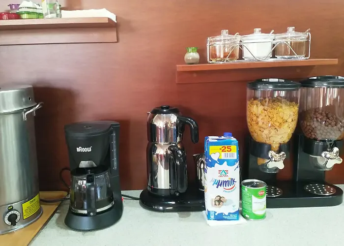 酒店 玛丽酒店 科斯镇