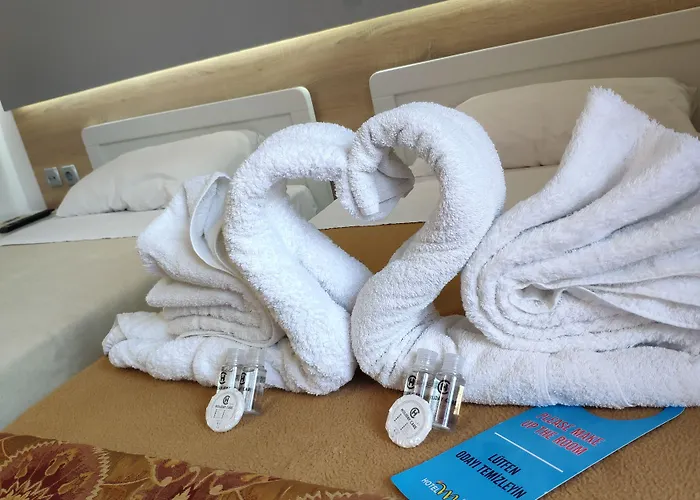 玛丽酒店 酒店 科斯镇